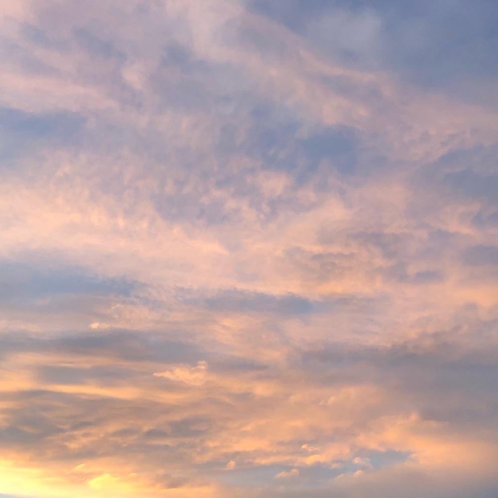 Meet your Posher, Isla